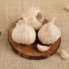 Organically Grown Garlic
