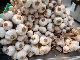 Organically Grown Garlic
